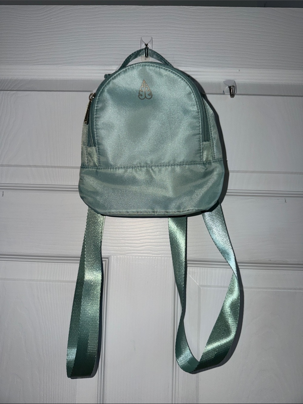 Biossance Mint Green Satin Mini Backpack with Gold Logo
